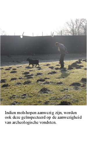 Archeologisch onderzoek, advisering